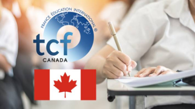 سطوح ازمون tcf در ایران