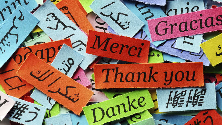 رتبه بندی زبان های دنیا